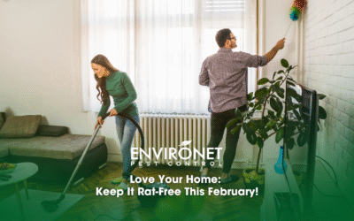 Love Your Home: Keep It Rat-Free This February
