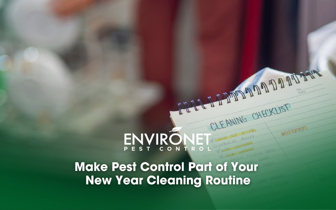 Make Pest Control Part of Your New Year Cleaning Routine