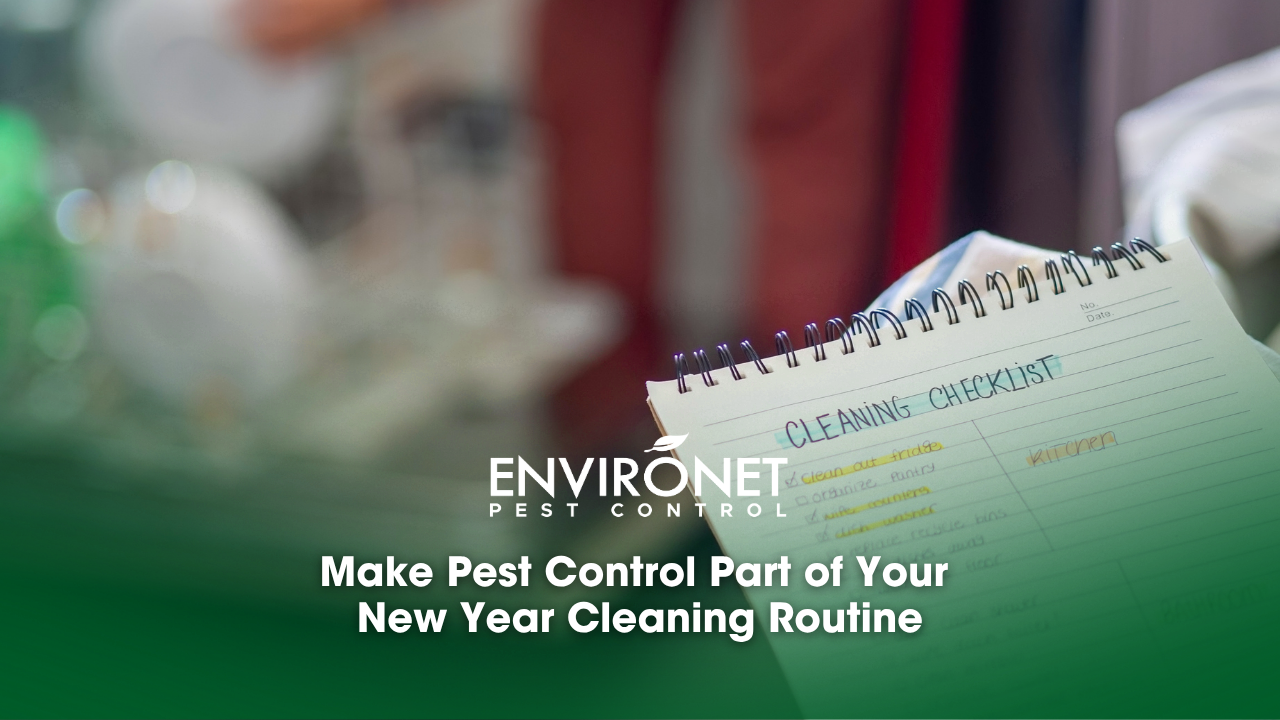 A comprehensive cleaning checklist highlighting the best cleaning tips for an organized and spotless space.