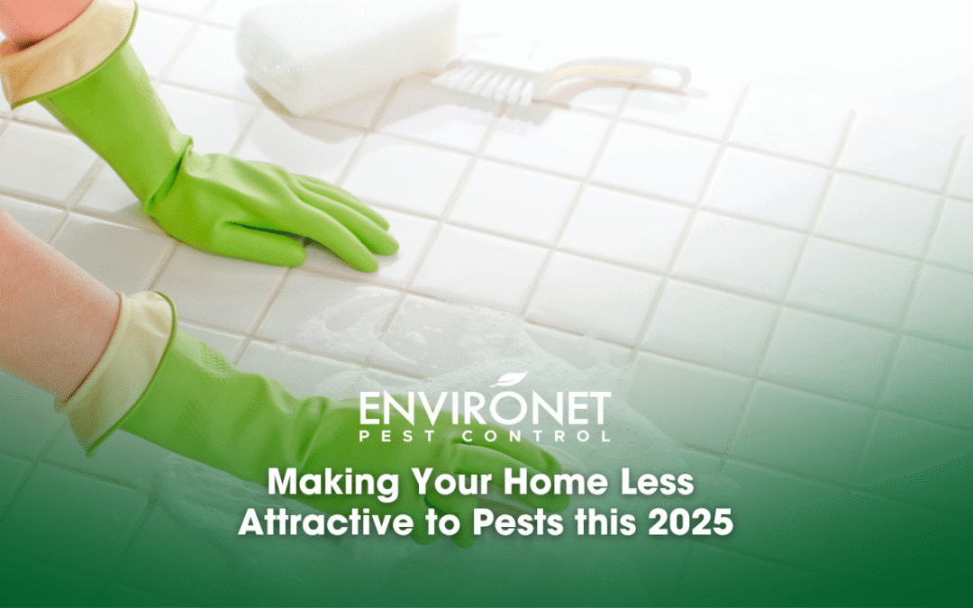 Making Your Home Less Attractive to Pests this 2025