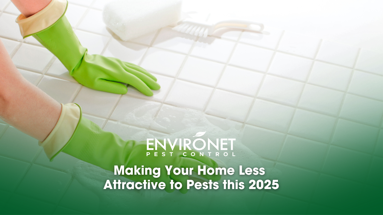 A person with green gloves diligently cleans a tile floor, enhancing home hygiene to reduce pest attraction.