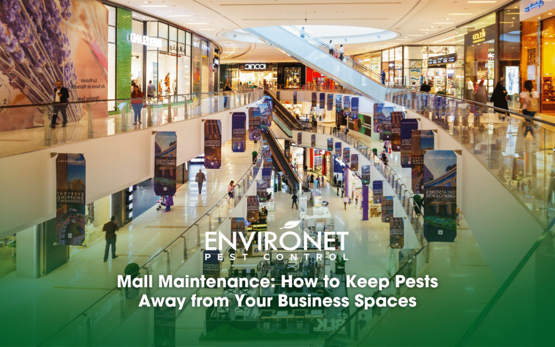 Mall Maintenance: How to Keep Pests Away from Your Business Spaces