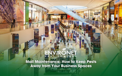 Mall Maintenance: How to Keep Pests Away from Your Business Spaces