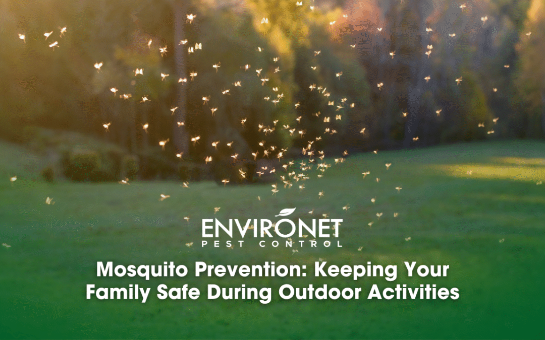 Mosquito Prevention: Keeping Your Family Safe During Outdoor Activities