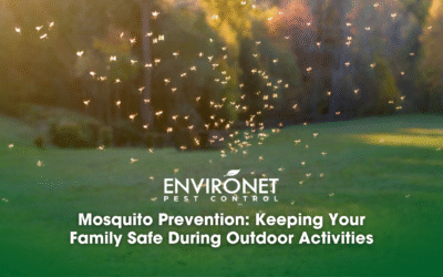 Mosquito Prevention: Keeping Your Family Safe During Outdoor Activities