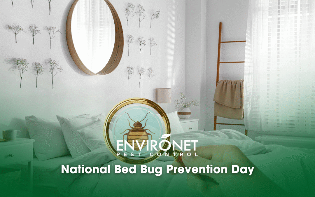 National Bed Bug Prevention Day – June 10, 2024