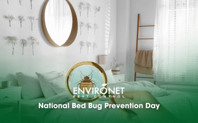 National Bed Bug Prevention Day – June 10, 2024
