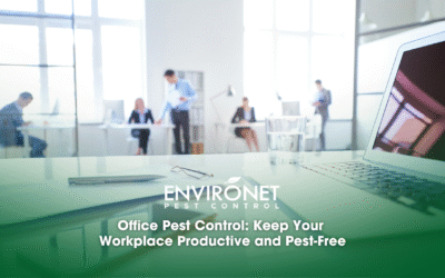 Office Pest Control: Keep Your Workplace Productive and Pest-Free