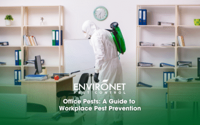 Office Pests: A Guide to Workplace Pest Prevention