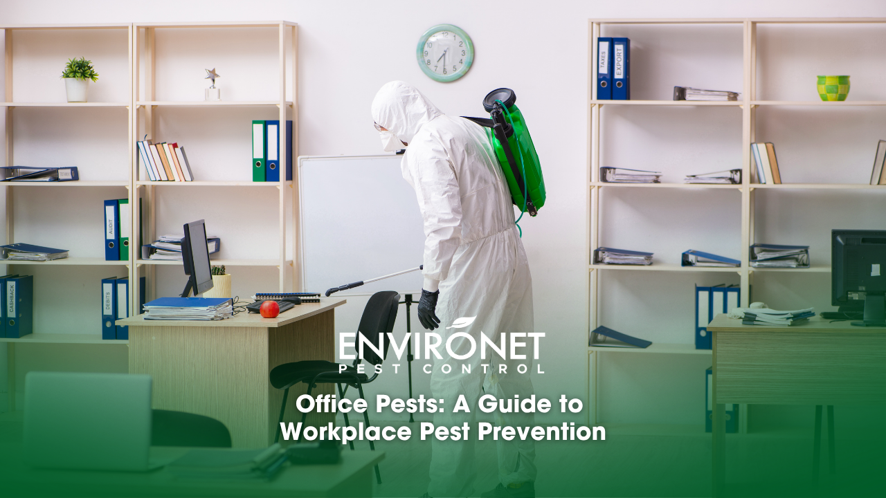 A man in a white suit and green backpack cleans a room, implementing pest control measures to prevent infestations for workplace pest prevention.