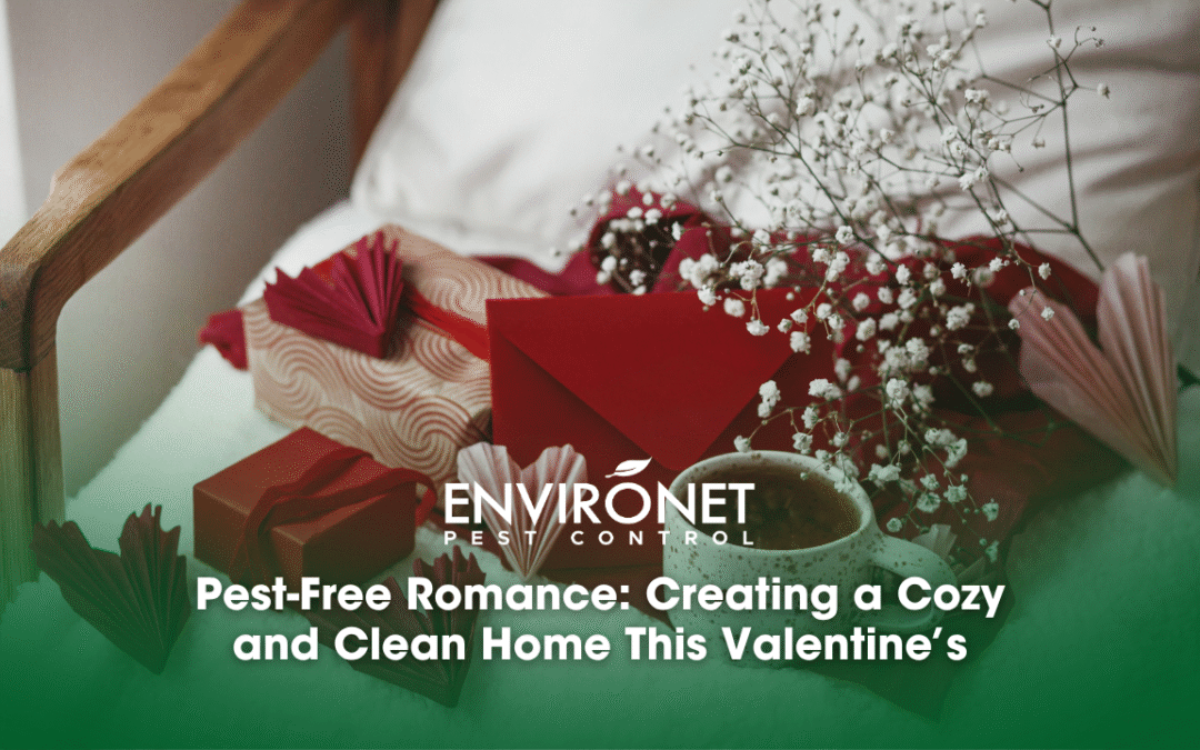 Pest-Free Romance: Creating a Cozy and Clean Home This Valentine’s