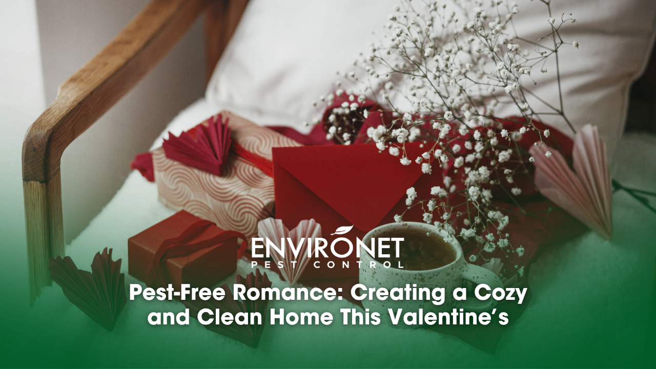 A cup of coffee, a red heart, and a gift box on a bed, symbolizing a cozy and clean Valentine's Day atmosphere.