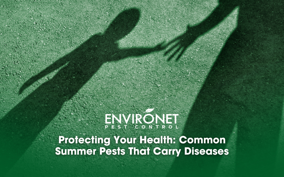 Protecting Your Health: Common Summer Pests That Carry Diseases