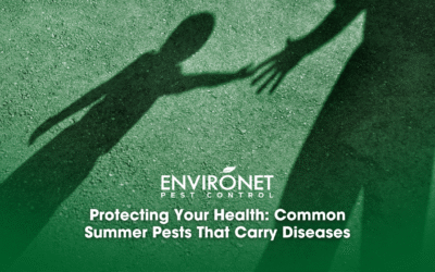 Protecting Your Health: Common Summer Pests That Carry Diseases