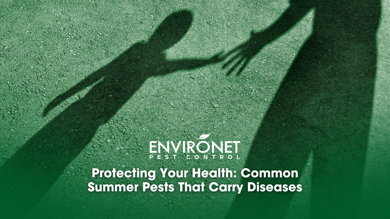 Shadows of an adult and a child, highlighting concerns about common summer pests associated with disease transmission.