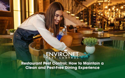 Restaurant Pest Control: How to Maintain a Clean and Pest-Free Dining Experience