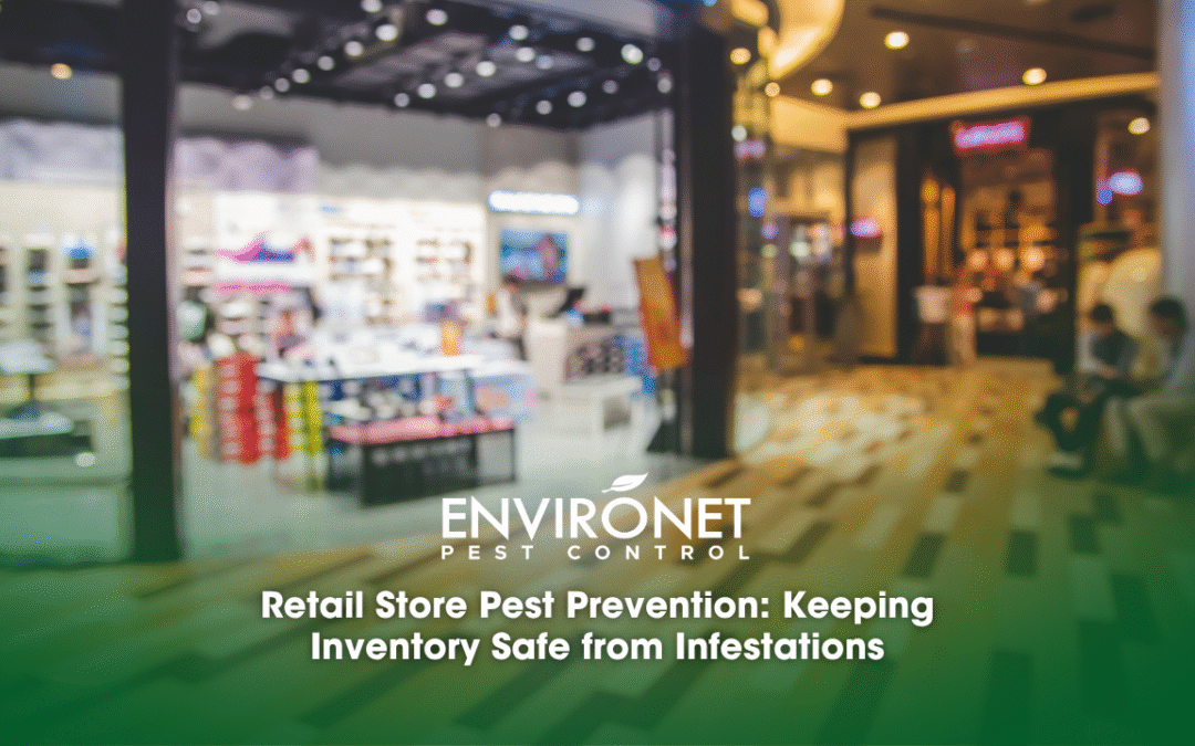 Retail Store Pest Prevention: Keeping Inventory Safe from Infestations