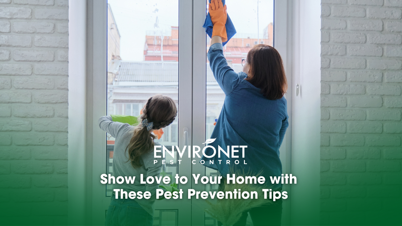 A woman and child cleaning windows together, highlighting their commitment to home maintenance and following essential pest prevention tips.