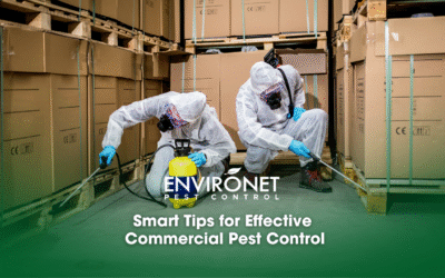 Smart Tips for Effective Commercial Pest Control