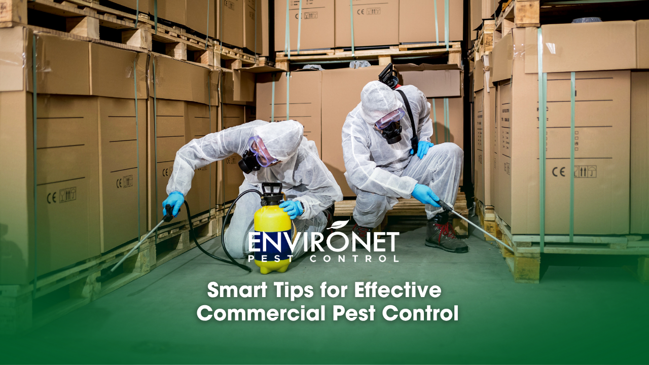 two technicians conducting commercial pest control