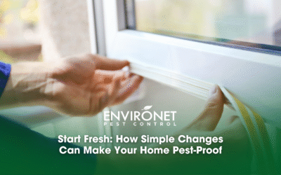 Start Fresh: How Simple Changes Can Make Your Home Pest-Proof