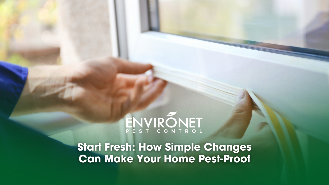 A person is seen installing a window with yellow tape, showcasing a method to enhance pest-proofing in residential spaces and make your home pest-proof.