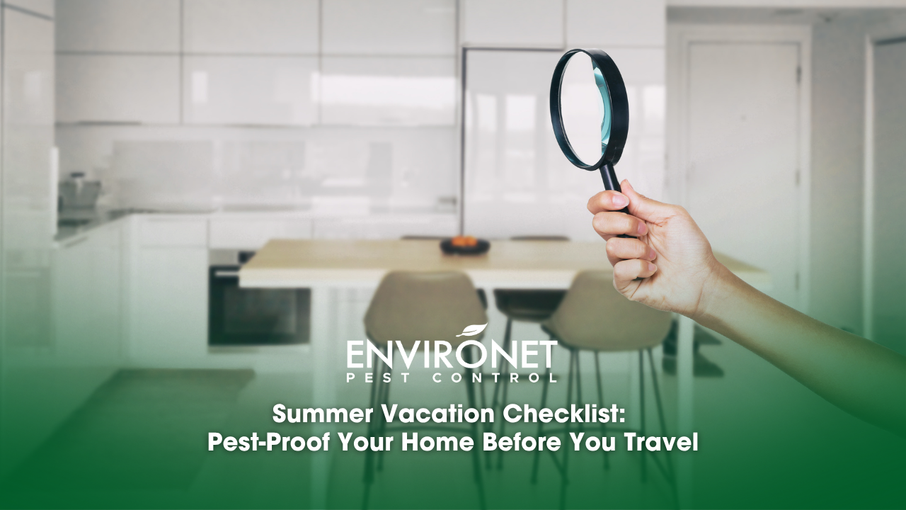 A person examines a kitchen with a magnifying glass, emphasizing pest-proofing for summer vacation preparations.