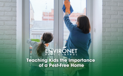 Teaching Kids the Importance of a Pest-Free Home