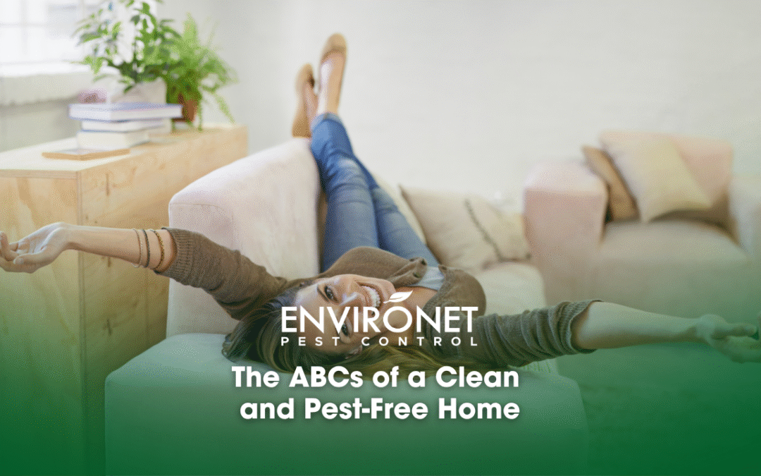 The ABCs of a Clean and Pest-Free Home