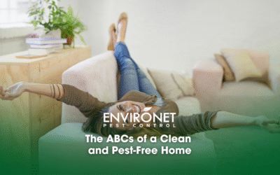 The ABCs of a Clean and Pest-Free Home