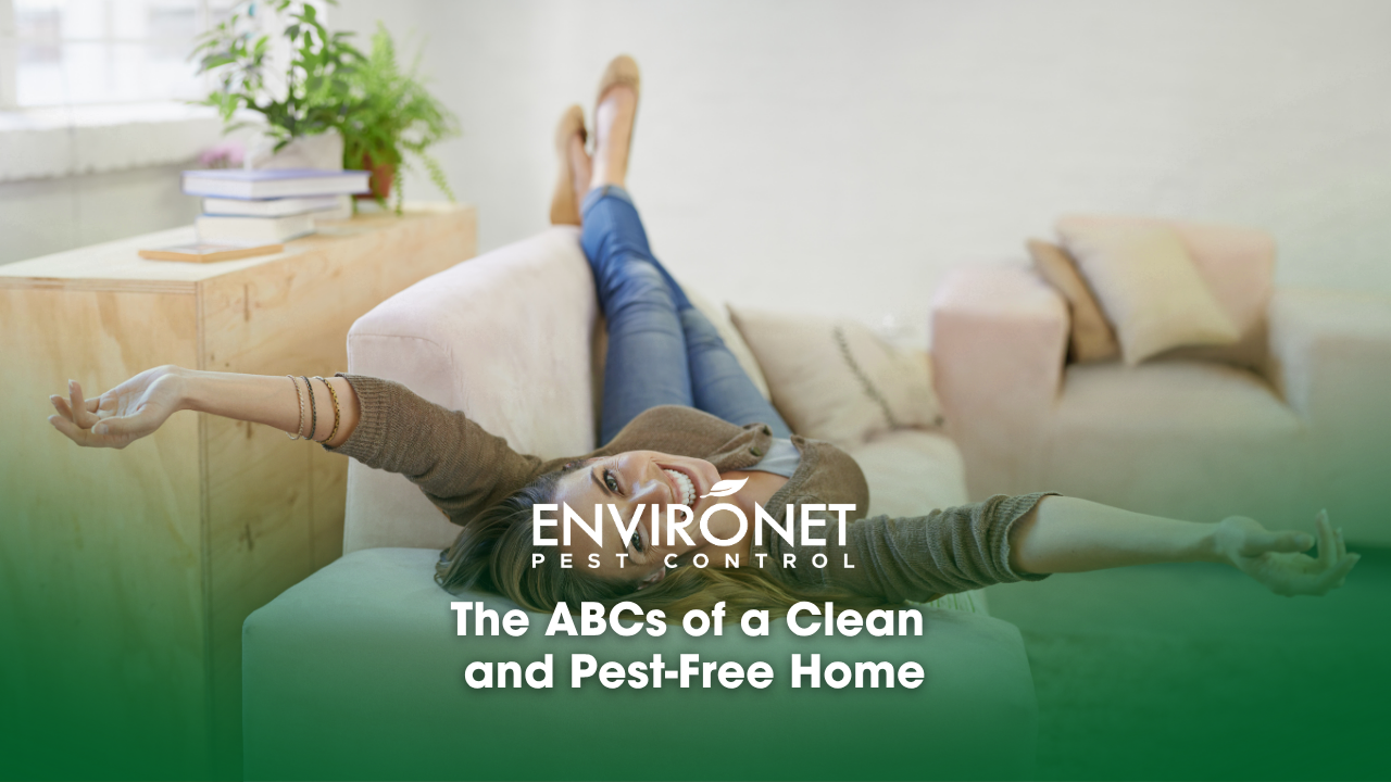 A woman having a peace of mind in a clean and pest-free home
