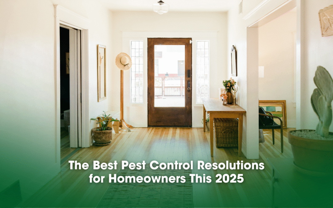 The Best Pest Control Resolutions for Homeowners This 2025