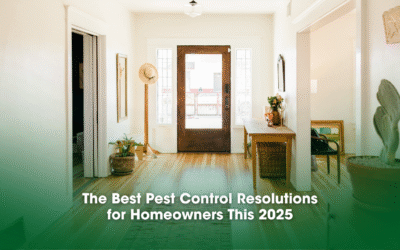 The Best Pest Control Resolutions for Homeowners This 2025