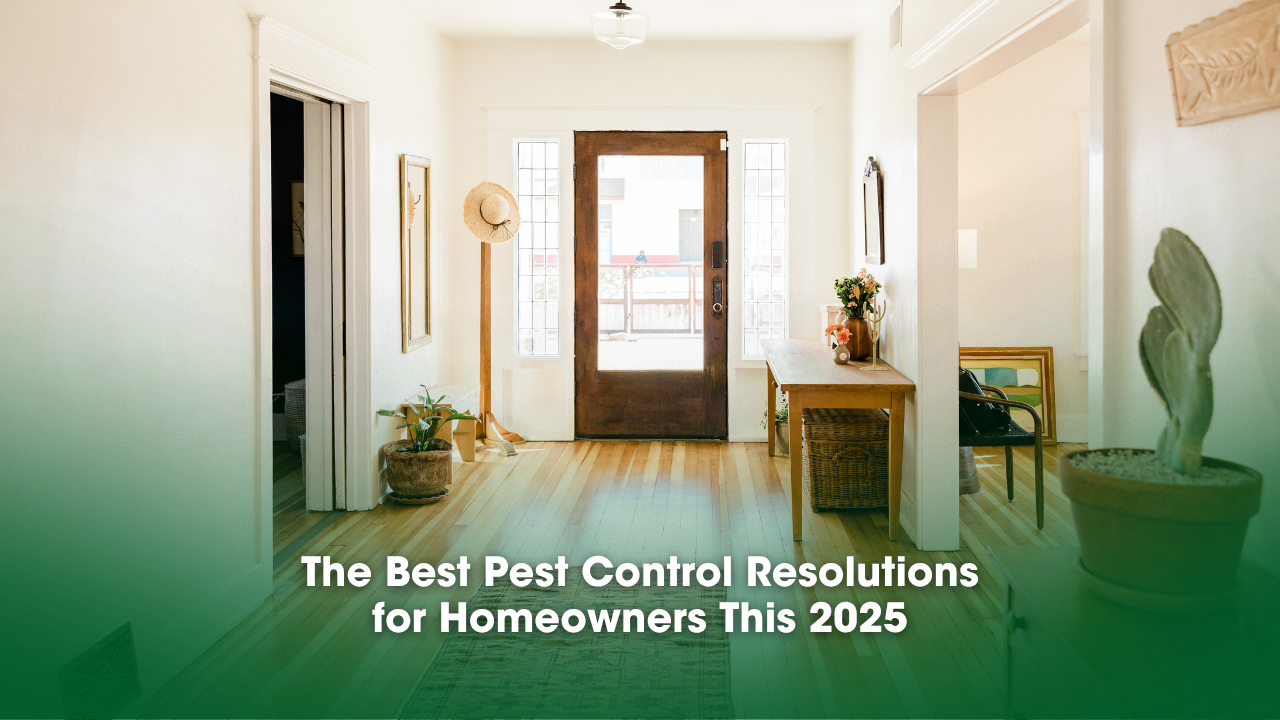 A tidy hallway showcasing a wooden floor and a door, illustrating pest control strategies for homeowners seeking cleanliness.