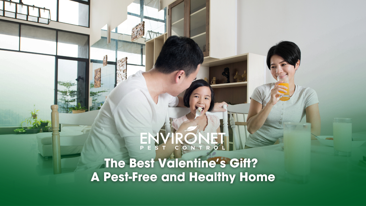 A family enjoys breakfast together in a modern home, symbolizing love and health in a pest-free environment.