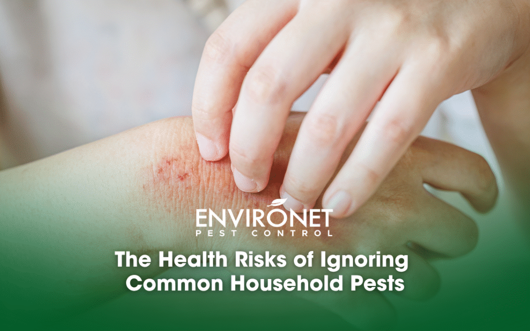 The Health Risks of Ignoring Common Household Pests