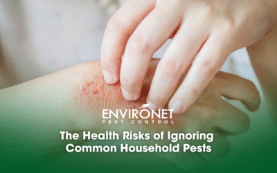 The Health Risks of Ignoring Common Household Pests