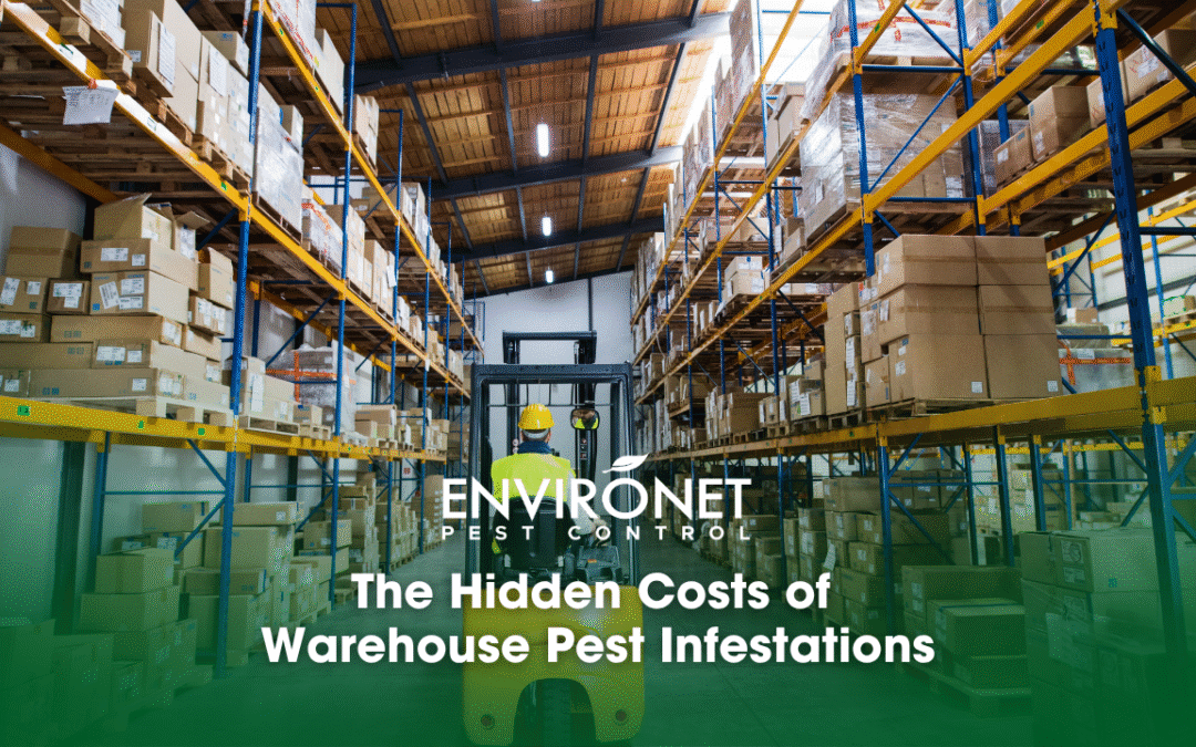 The Hidden Costs of Warehouse Pest Infestations