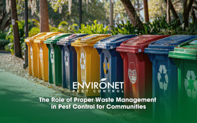 The Role of Proper Waste Management in Pest Control for Communities