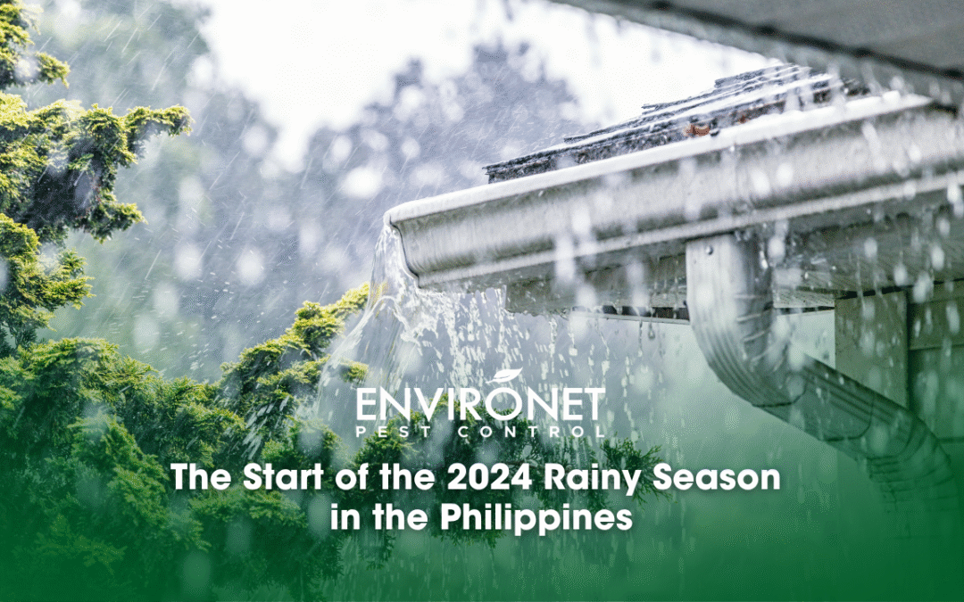 The Start of the 2024 Rainy Season in the Philippines
