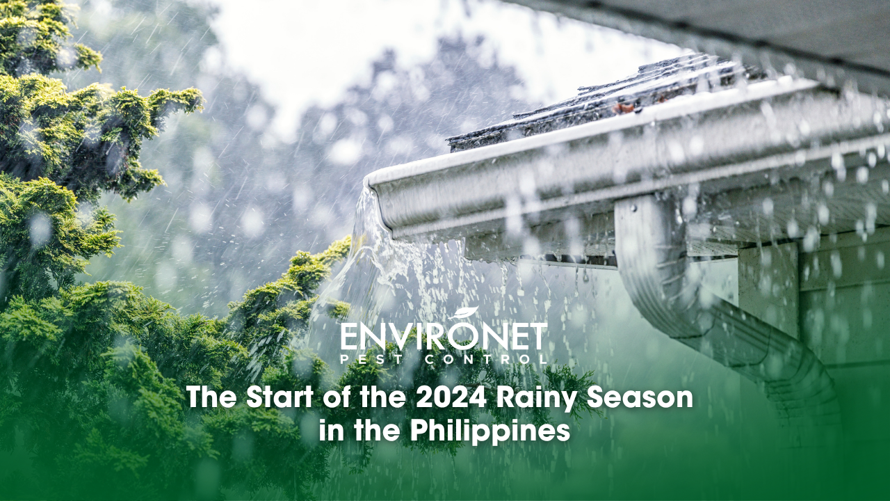 The Start of the 2024 Rainy Season in the Philippines
