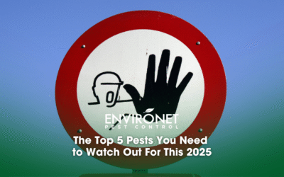 The Top 5 Pests You Need to Watch Out For This 2025
