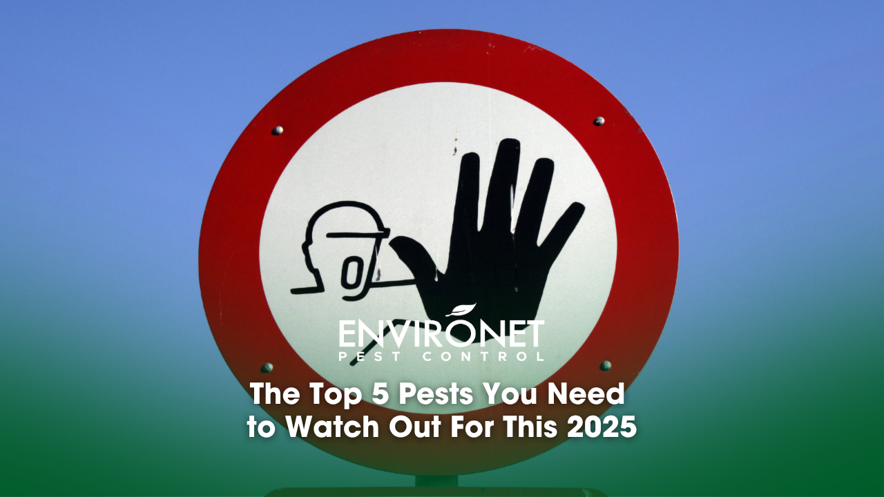 Top 5 pests you need to Watch out for signage