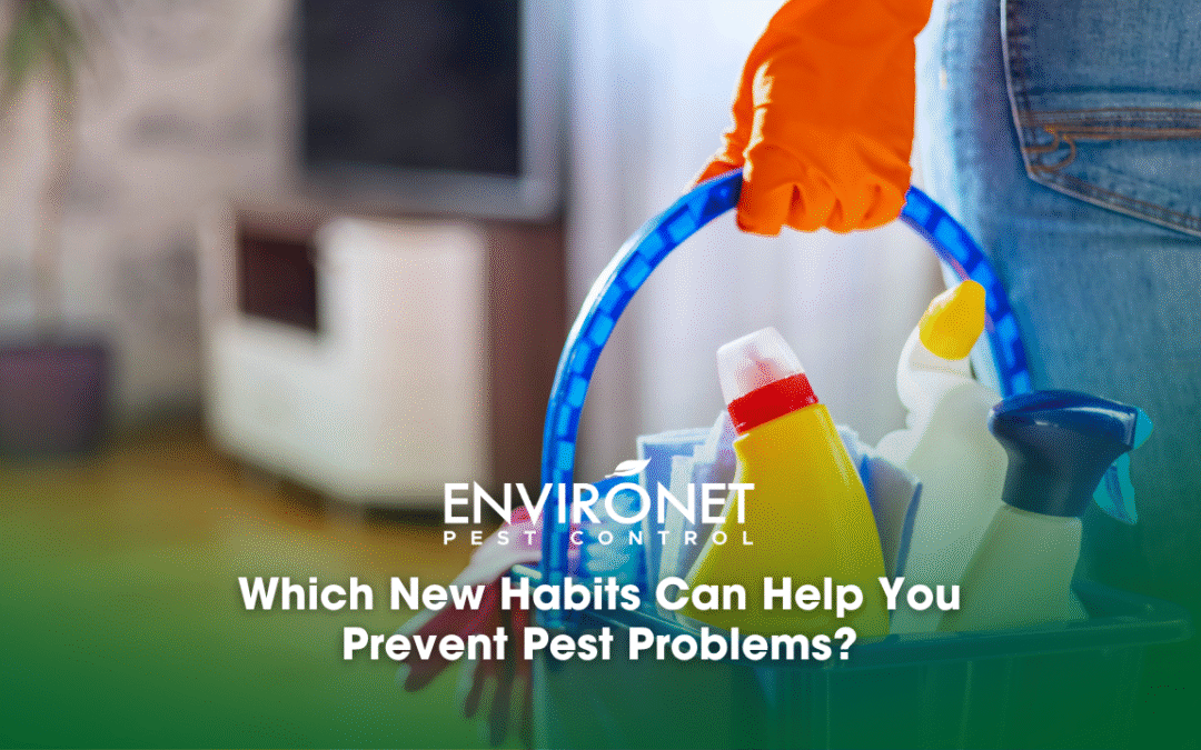 Which New Habits Can Help You Prevent Pest Problems?