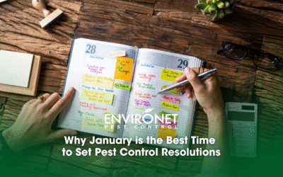 Why January is the Best Time to Set Pest Control Resolutions
