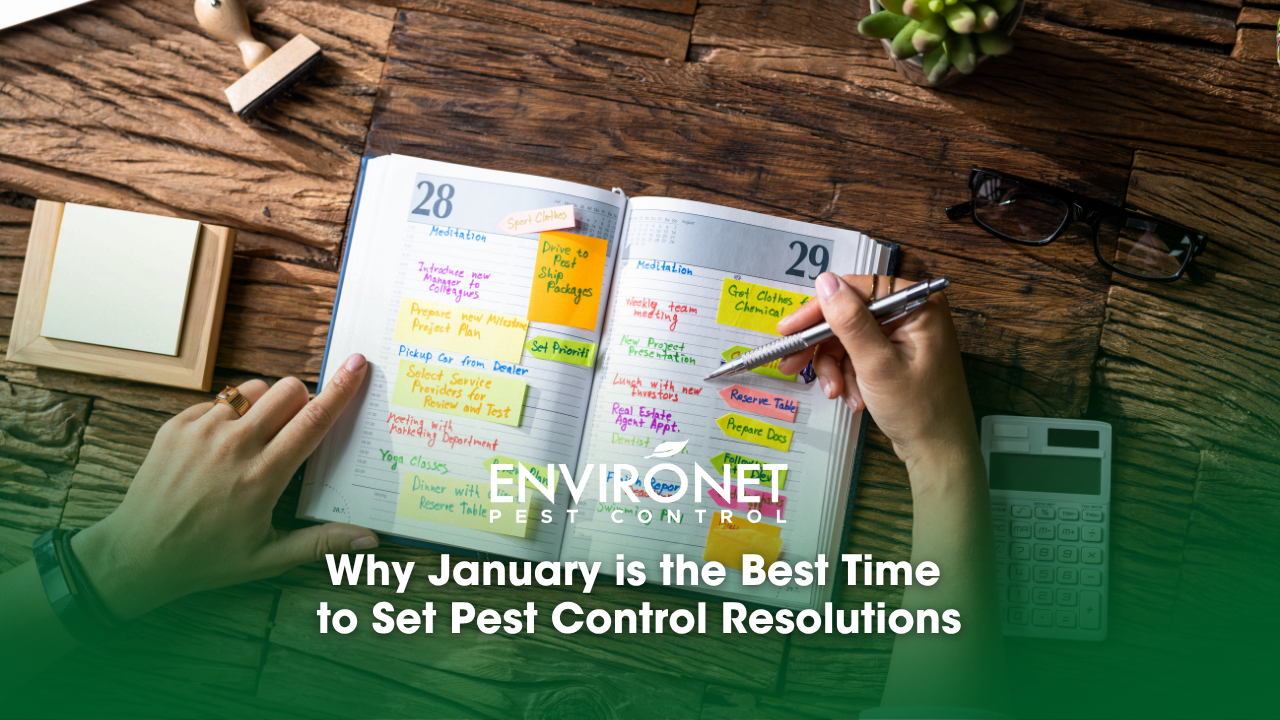 A woman writes pest control resolutions on a calendar using a pen and paper, seated at a wooden table.
