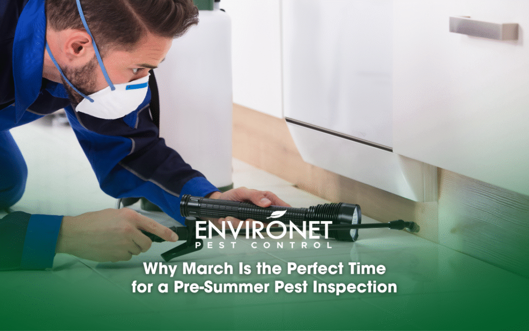Why March Is the Perfect Time for a Pre-Summer Pest Inspection