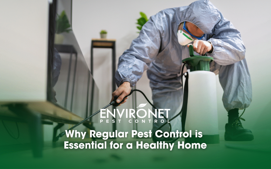 Why Regular Pest Control is Essential for a Healthy Home