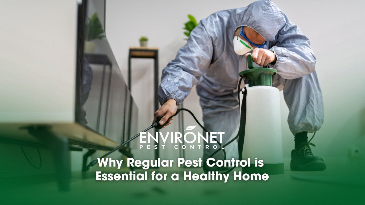 a pest control technician treating a home