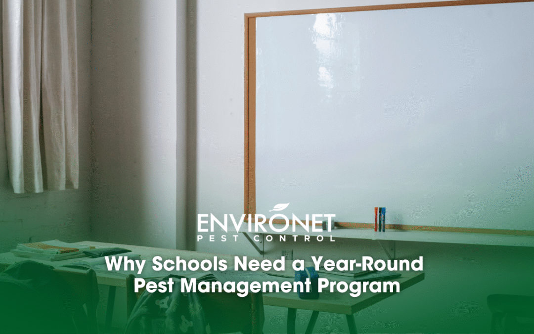Why Schools Need a Year-Round Pest Management Program